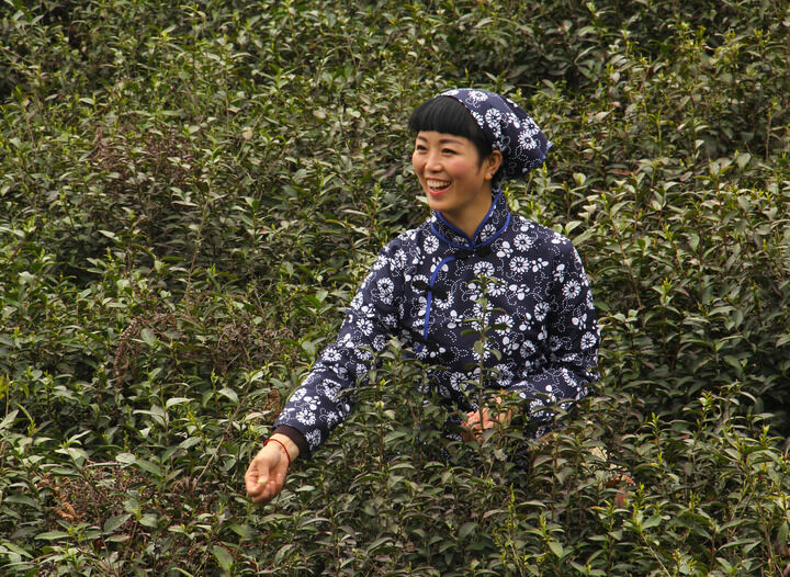 伊人app直播入口